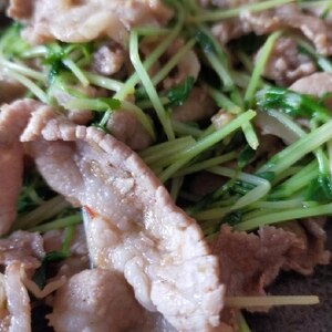 夏に食べたい！豆苗と豚肉のピリ辛スタミナ炒め